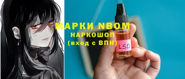хмурый Алзамай