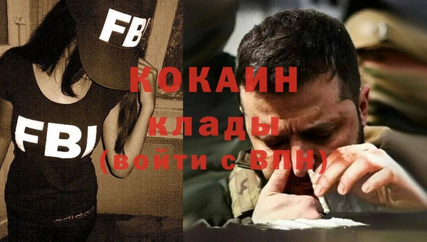 хмурый Алзамай