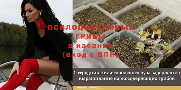 мдпв Алексин