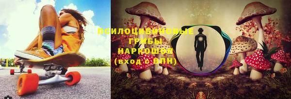 крисы Алексеевка